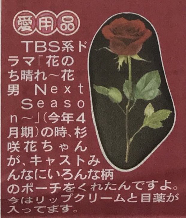 新品UNDERCOVER 転写ポーチ バラ アンダーカバー 平野紫耀 旧デザイン】UNDERCOVER 薔薇ポーチ 平野紫耀 杉咲花 花晴れ