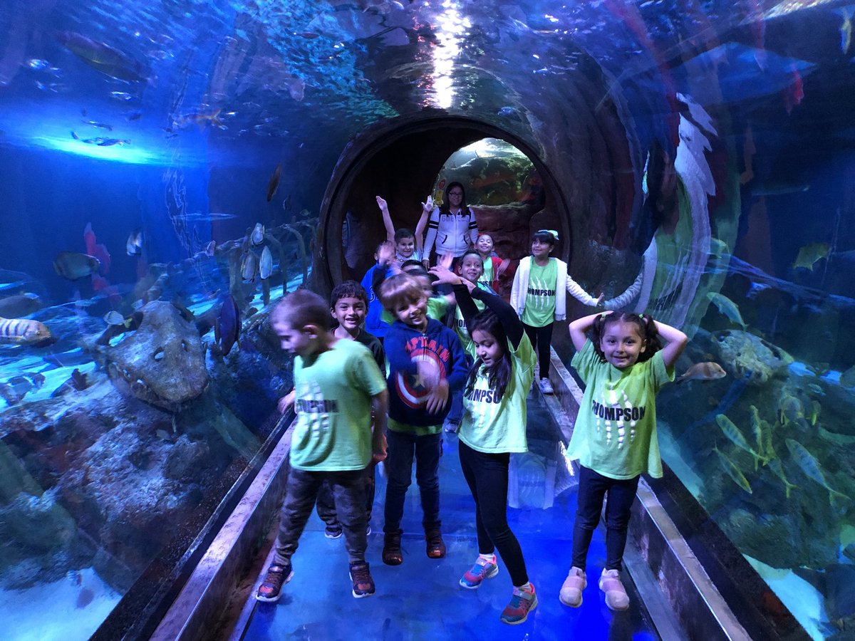 HerrerasClass's tweet photo. Had the best time @SEALIFEgrpevine! No la pasamos súper en @SEALIFEgrpevine! #ThompsonIsExcellece #ThompsonEsExcelencia https://t.co/HLgqSFiI7G