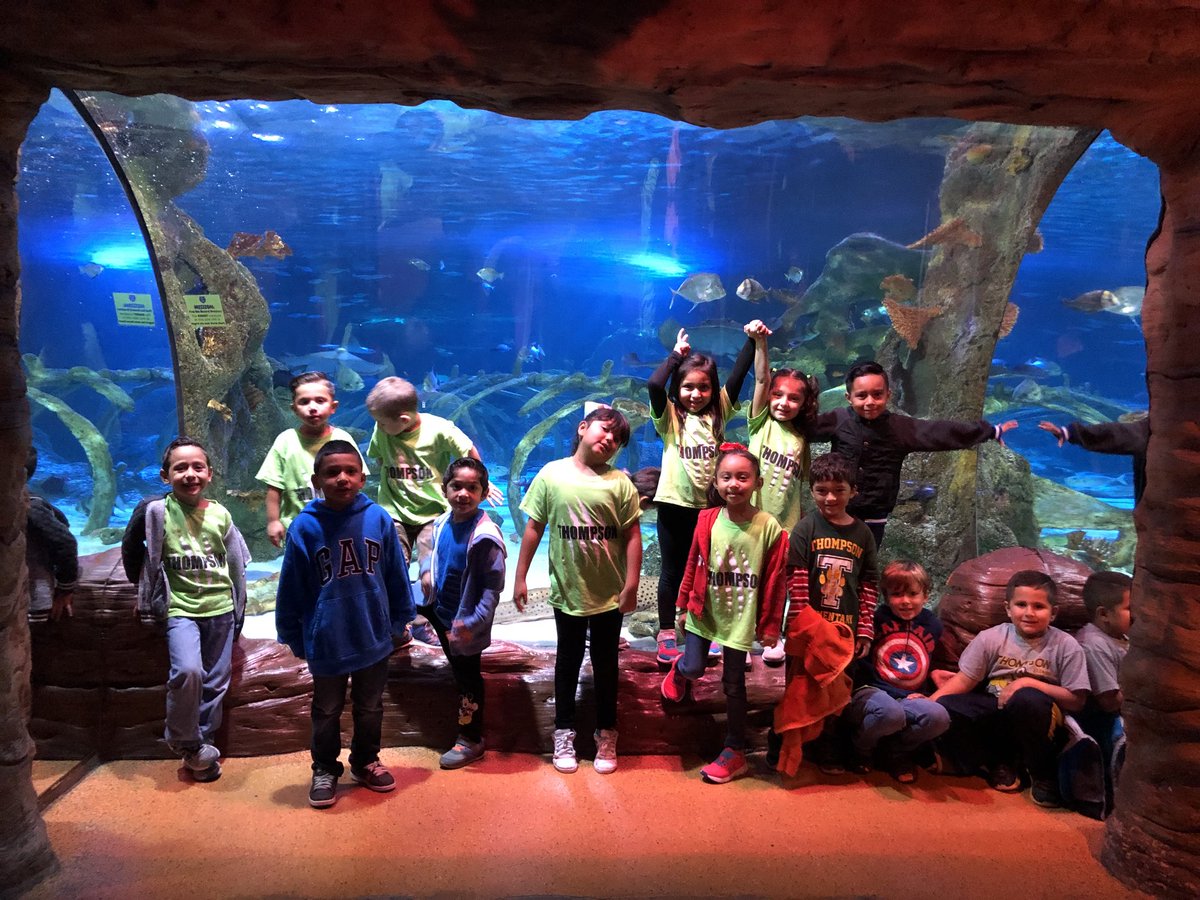 HerrerasClass's tweet photo. Had the best time @SEALIFEgrpevine! No la pasamos súper en @SEALIFEgrpevine! #ThompsonIsExcellece #ThompsonEsExcelencia https://t.co/HLgqSFiI7G