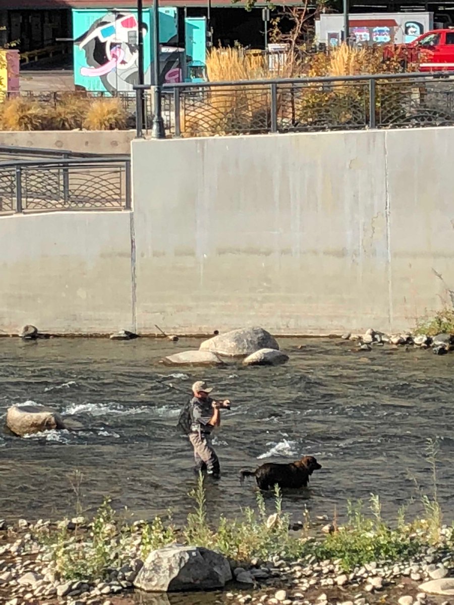 norakyl's tweet photo. I love that this is normal in downtown Reno #biggestlittlecity https://t.co/bJx2AhQsrN