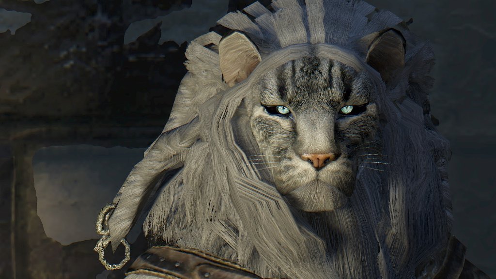 skyrim se khajiit mods skyrim se khajiit mods