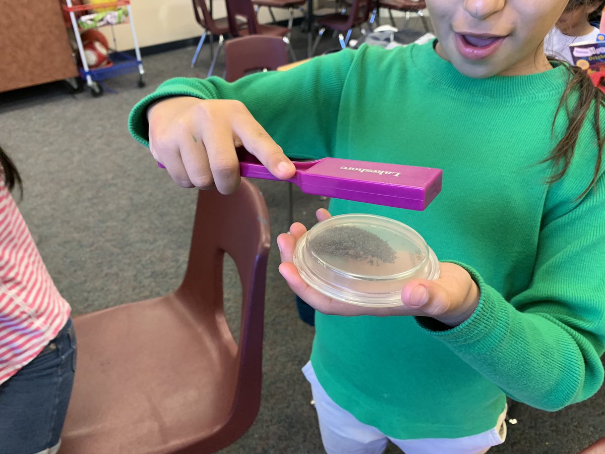 MrsReilly2WR's tweet image. Who loves #science? We do! #physicalsciences #sciencetable #secondgrade @MrsReilly2WR