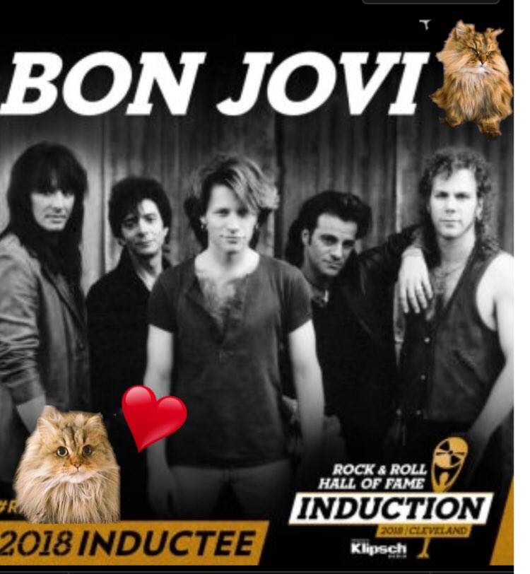 karenren3171's tweet photo. おはサタデーでございます❣️

今朝の1曲とツインズ
本日のセレクトはBON JOVIニューアルバムからこれいい！って思ったのを💖

皆様素敵な週末を✨✨

#BONJOVI
 #bornagainTomorrow
https://t.co/R6p5NGGWN8

 #ツインズを合体させちゃいました
 #夜叉丸隅で不満そう https://t.co/rbz1dncuNh