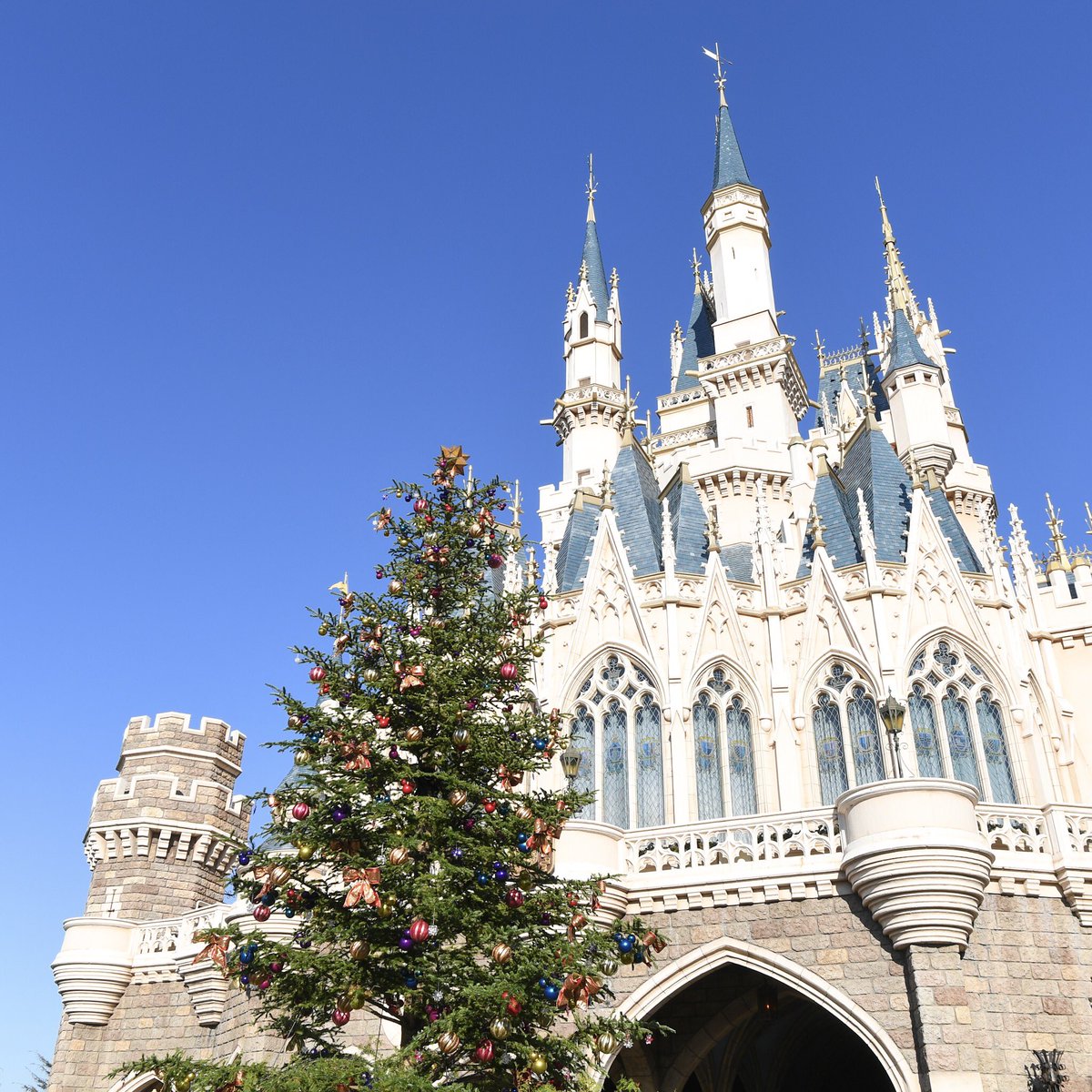 Mezzomikiのディズニーブログ A Twitter Tdlディズニー クリスマス シンデレラ城裏ではクリスマスツリーの準備が進んでいます T Co 6teyananls