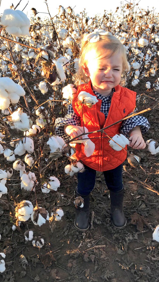 When it’s too wet to pick cotton. #harvest2018 #oklahomacotton