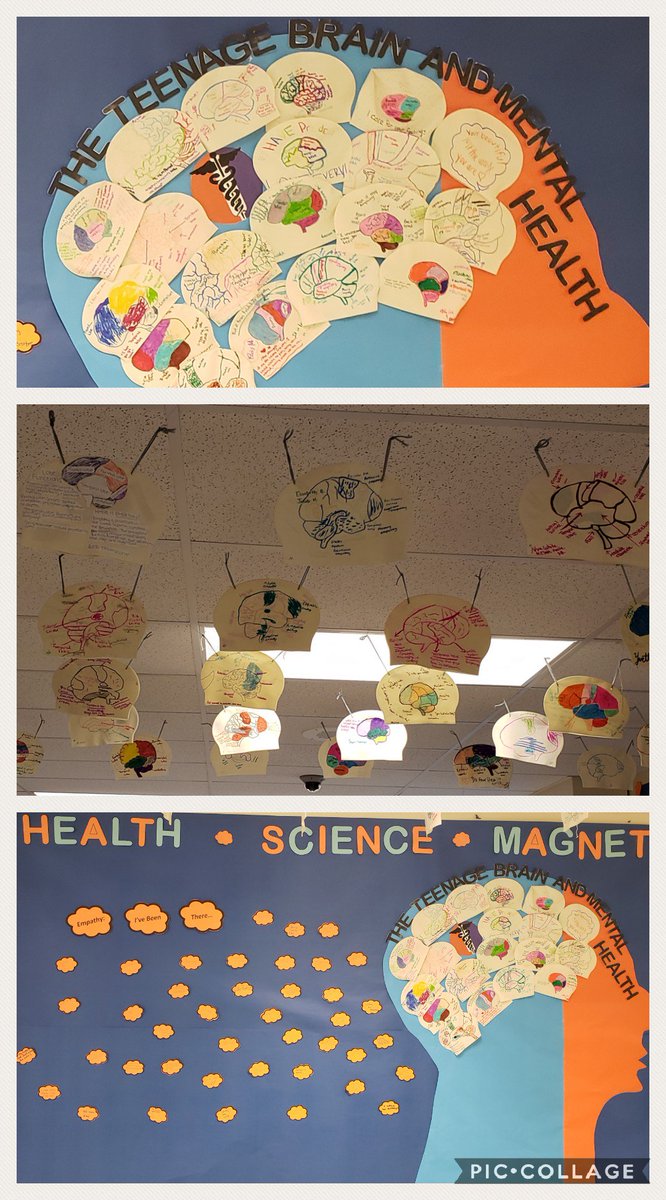 Our students' amazing display of our Health Science theme this year on Empathy and the Teenage Brain