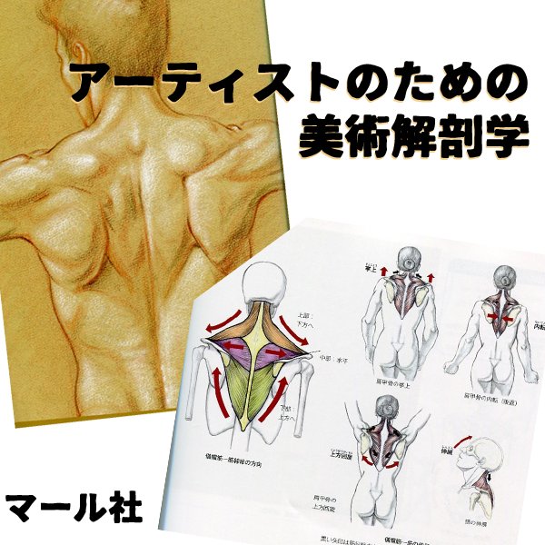 大感謝セール アーティストのための美術解剖学 : モーションを描くため