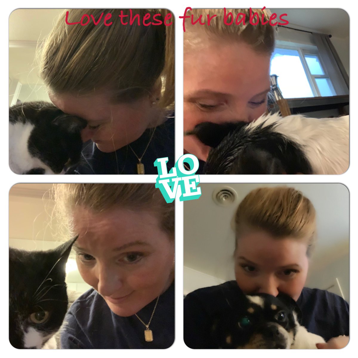 Mischievousliz's tweet photo. Had a blast, with my favorite fur baby clients tonight Mario, #IntenseCat and Lucy #BlindDog https://t.co/sF4MEg6gUp