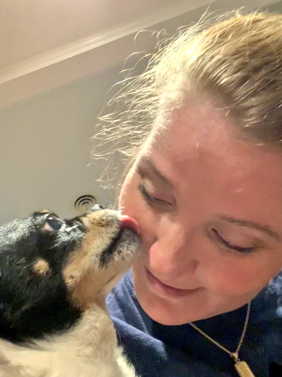 Mischievousliz's tweet photo. Had a blast, with my favorite fur baby clients tonight Mario, #IntenseCat and Lucy #BlindDog https://t.co/sF4MEg6gUp