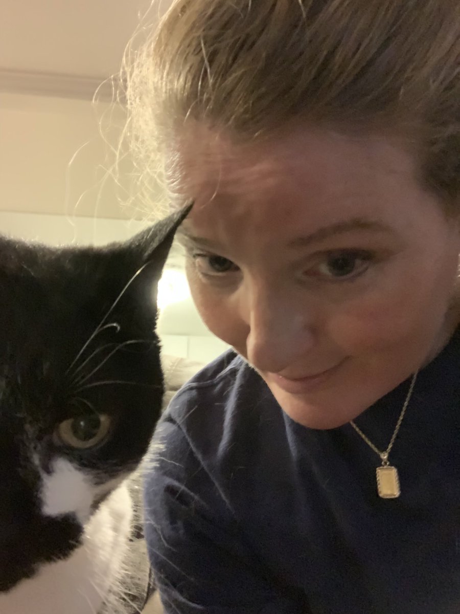 Mischievousliz's tweet photo. Had a blast, with my favorite fur baby clients tonight Mario, #IntenseCat and Lucy #BlindDog https://t.co/sF4MEg6gUp