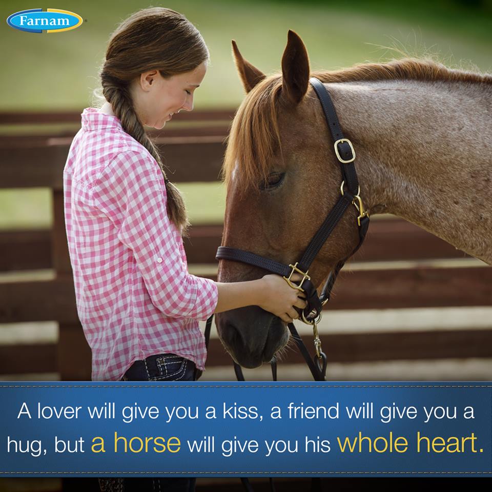 A horse gives his whole heart!
