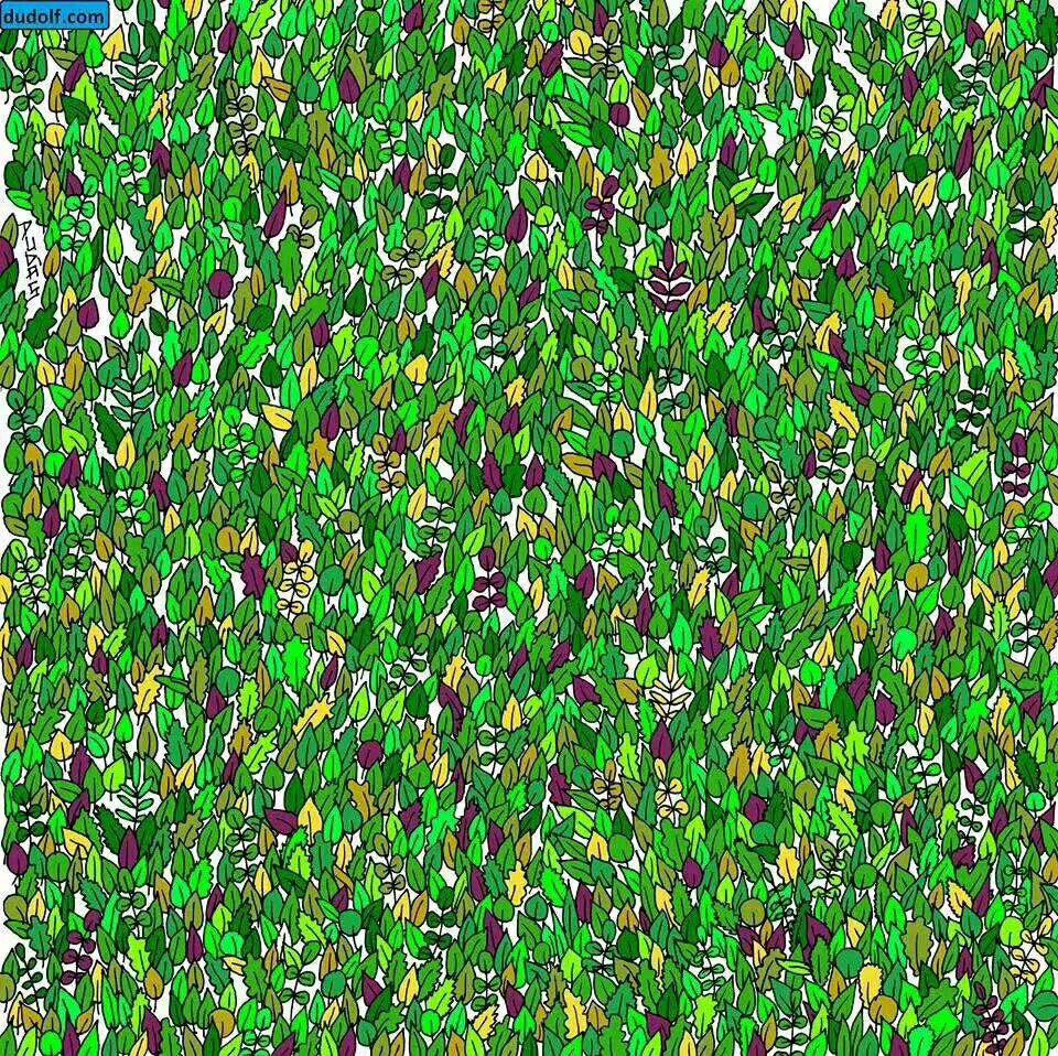 Help me find the frog hidden among leaves.
