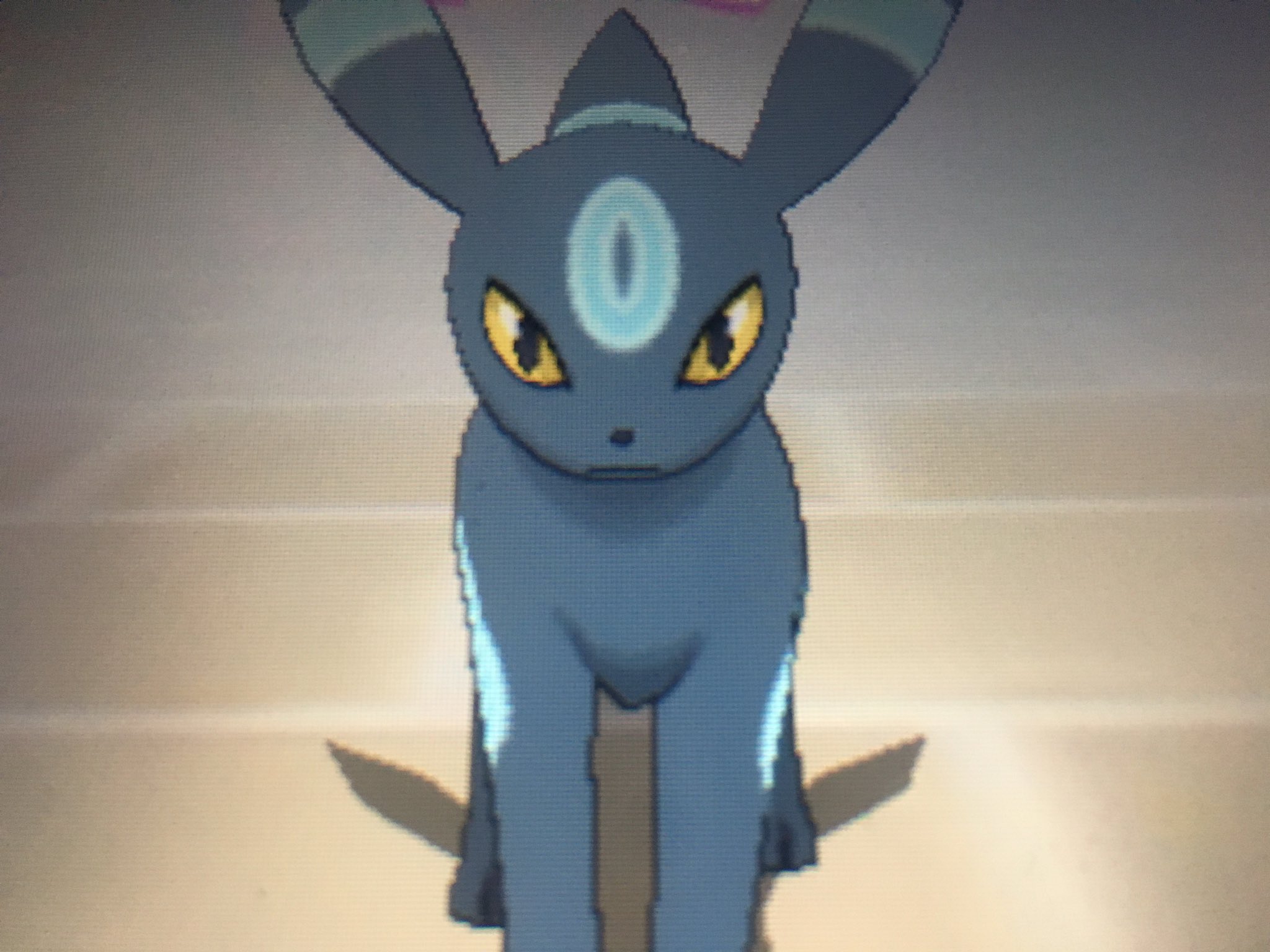 あやのぽけ Ayaya Umbreon Twitter