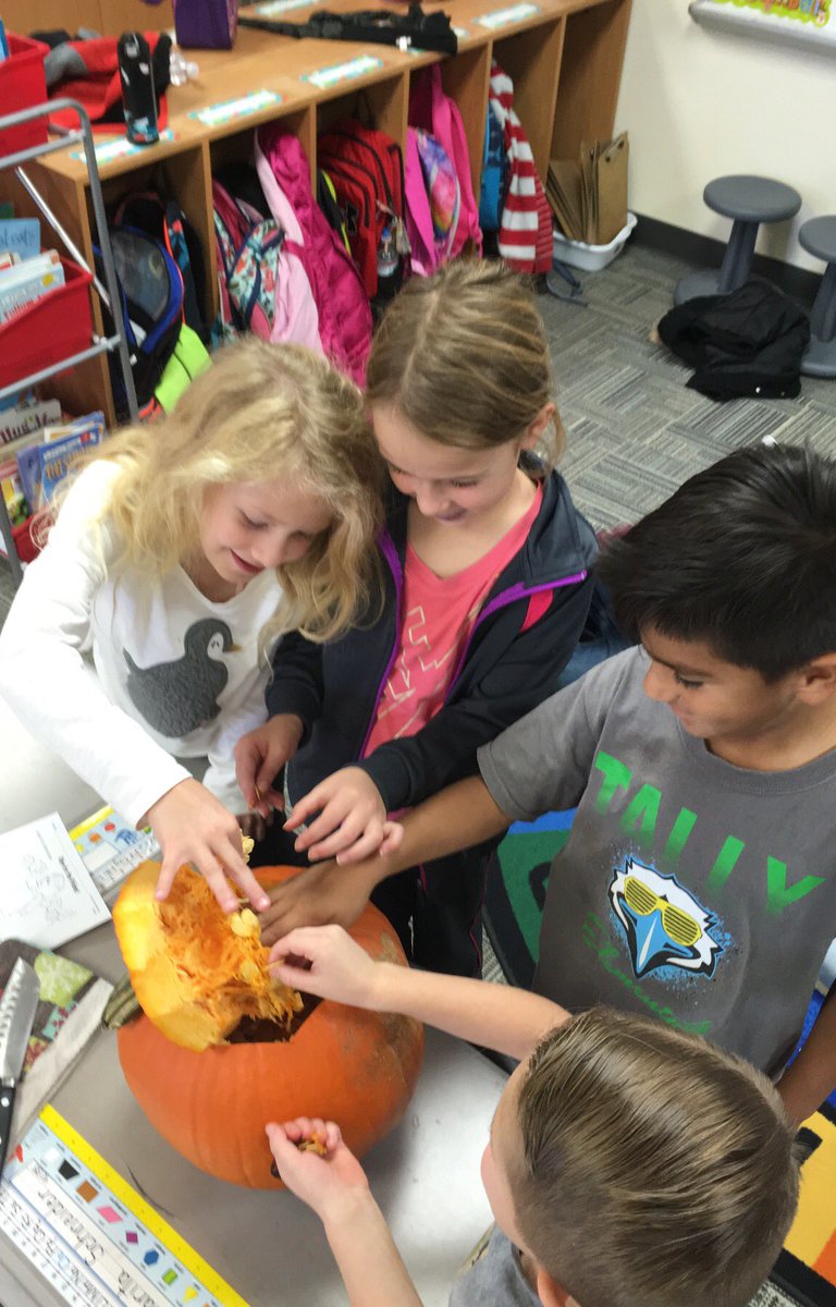 lduckworth2's tweet photo. Pumpkin discoveries always turn into a room full of happiness🧡 #tallyBEST #kisdbest https://t.co/deJmTDA0Ec