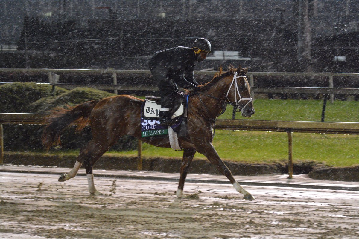 HipodromoSI's tweet photo. #SuperSábadoDeNoviembre en el @HipodromoSI 
@BreedersCup -en directo y con apuestas- desde @ChurchillDowns 
Agradecemos la gentileza del fotógrafo venezolano @GonzaloAnteliz quien compartió imágenes exclusivas de #HiHappy, ejercitando bajo la lluvia, a primera hora del jueves. https://t.co/b8VZOn4JtY