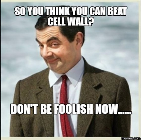 FCS00405064's tweet photo. Come on guys, don't be dumb. #OrganelleWars @lmartinezchinn https://t.co/lKI2wEpv3Z