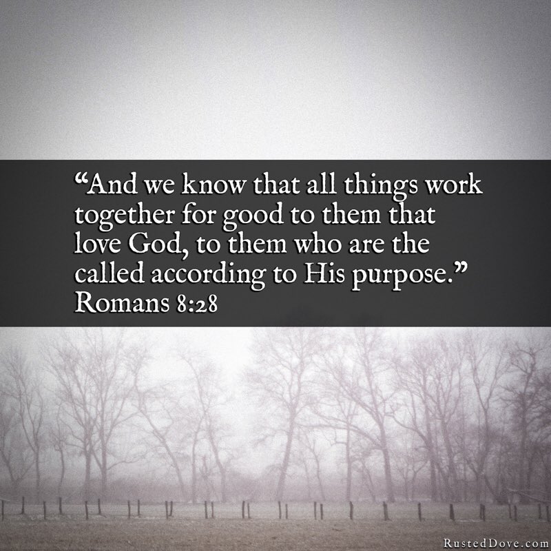 rusteddove's tweet photo. “And we know that all things work together for good to them that love God, to them who are the called according to His purpose.” Romans 8:28
https://t.co/cFW9XBuTpD

#godisgood #godisgreat #christian #biblequotes #biblequote #farmhouse #farmhousestyle #farmhouseliving #rusteddove https://t.co/8R5CSAS699