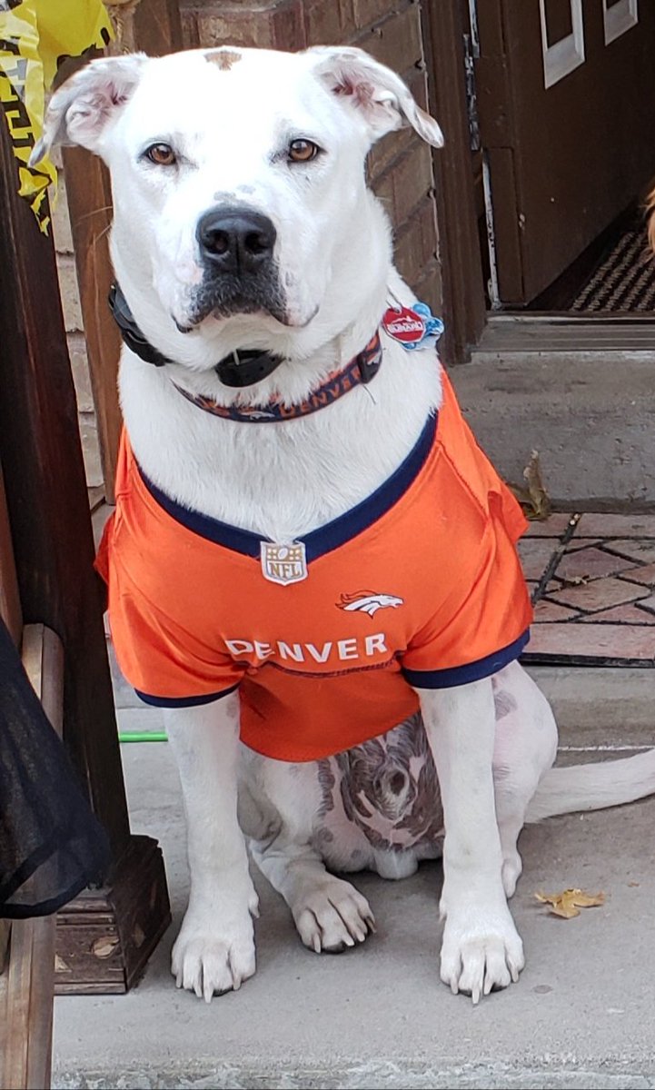 mmanningutah's tweet photo. @Broncos the next draft for linebacker #fanforlife https://t.co/eKN5njDijx