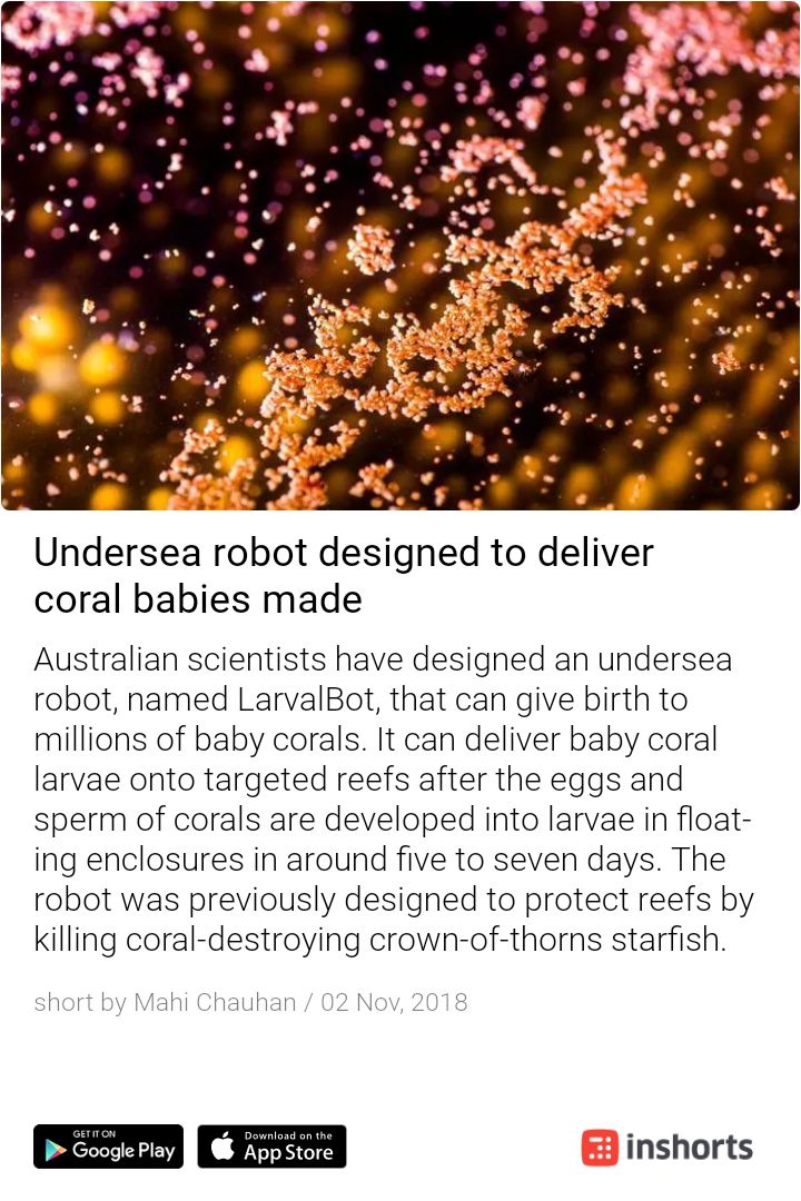jonesjoseph's tweet photo. Even #robots need job rotation and role change. #RangerBot to #LarvalBot - corralling the #corals 
https://t.co/4l5cDT7bgb https://t.co/dxPrzgj00c