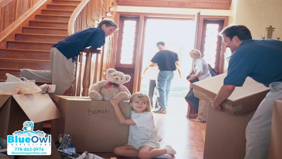 blueowlinspects's tweet photo. Our comprehensive home inspection services will provide you with valuable insight and understanding into the home you are considering for purchase. 
https://t.co/OTzm5naCdP https://t.co/o7gSEZKOO7