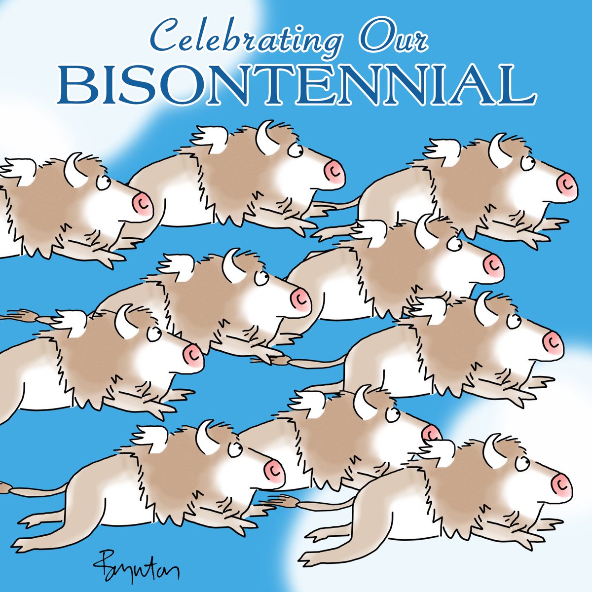 SandyBoynton's tweet photo. November 3 is #NationalBisonDay https://t.co/0JCBGhoUSZ