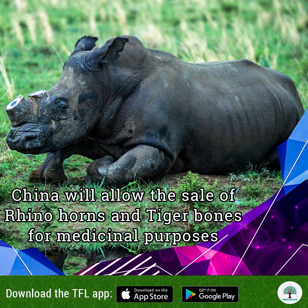 Download TFL App: bit.ly/2OINmrh

#PlantTrees #SaveEarth #SavePlanet #TreeForLife #TFL #TFLApp #Nature #TreePlantation #Environment