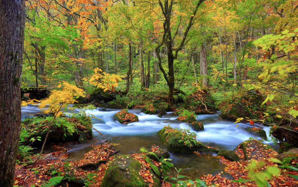 'The atmospheric conditions have been very unfavourable lately,' said Owl. 'The what?' 'It has been raining,' explained Owl. 'The flood-level has reached an unprecedented height.' 'The who?' 'There's a lot of water about,' explained Owl. ~A.A.Milne #SaturdayMotivation #weather