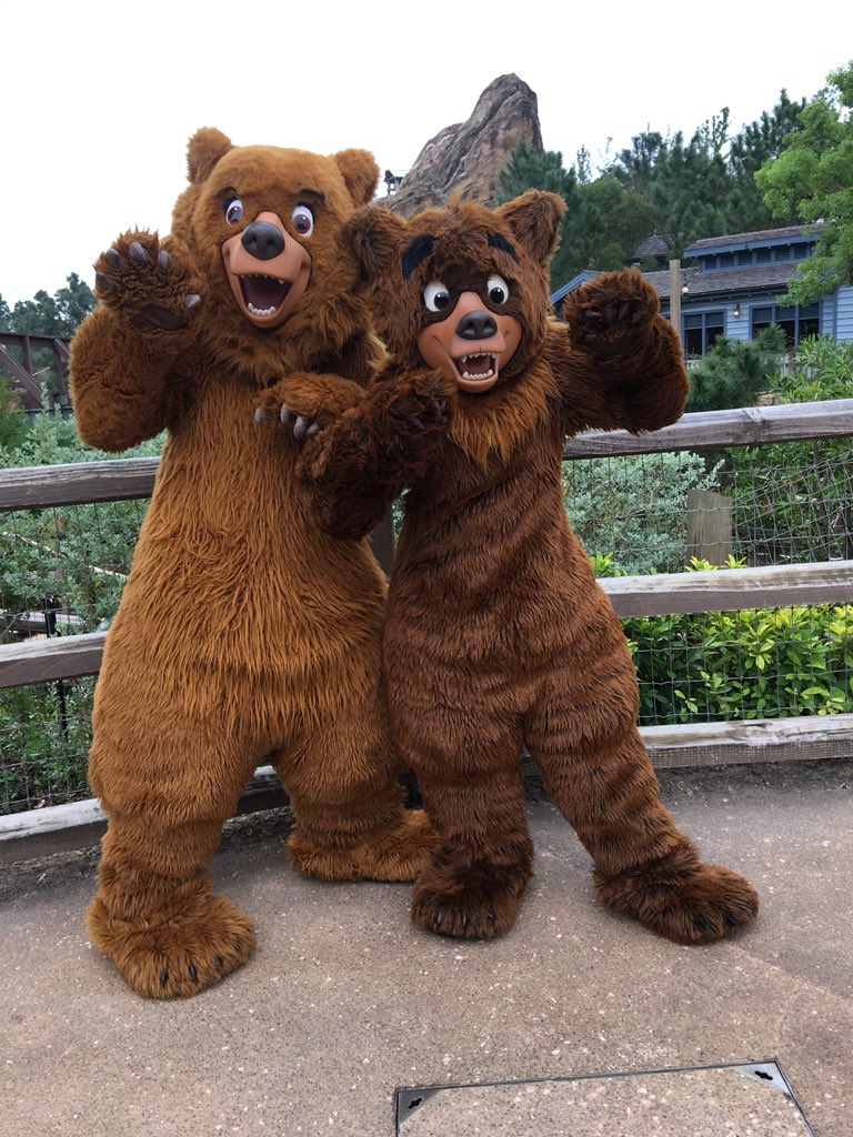 激レア！ 限定品！ ディズニー Disney ブラザーベアー 着ぐるみ 防寒