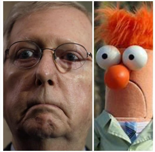 Jonathon Jackson On Twitter Why Does Mitch Mcconnell Look Like Beaker Cannotunsee