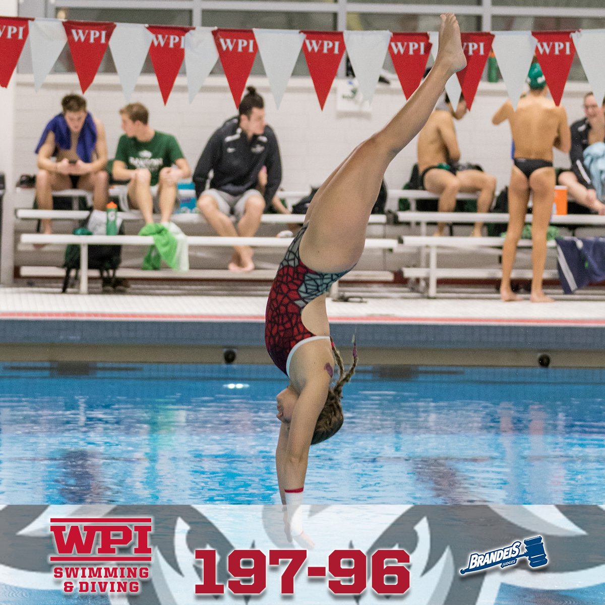 WPI Swim Dive (WPISwimDive) Twitter