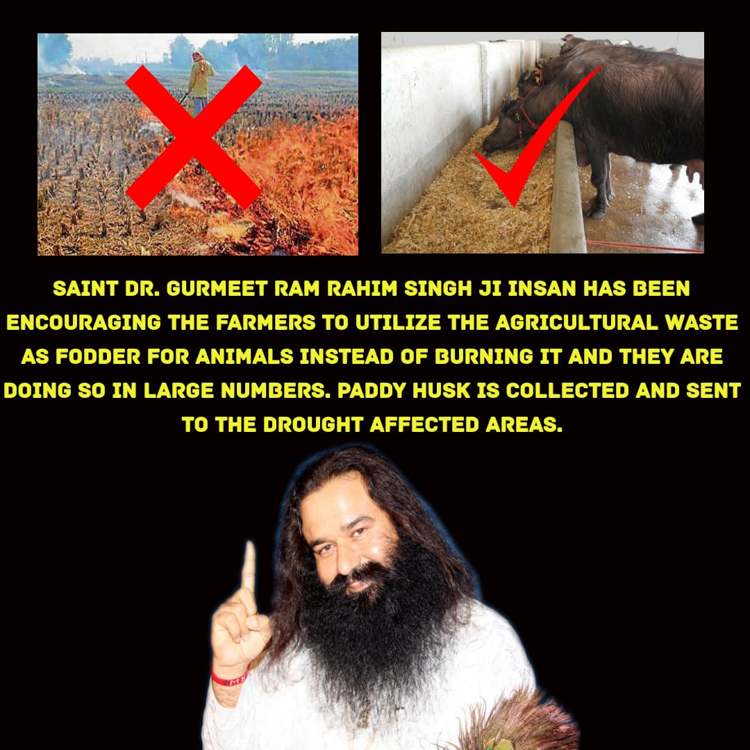 Kanchanbajaj13's tweet photo. #StopStubbleBurn_SaysStMSG 
@derasachasauda 
Saint Dr.@Gurmeetramrahim ji Insan.. https://t.co/QuqABcWICL