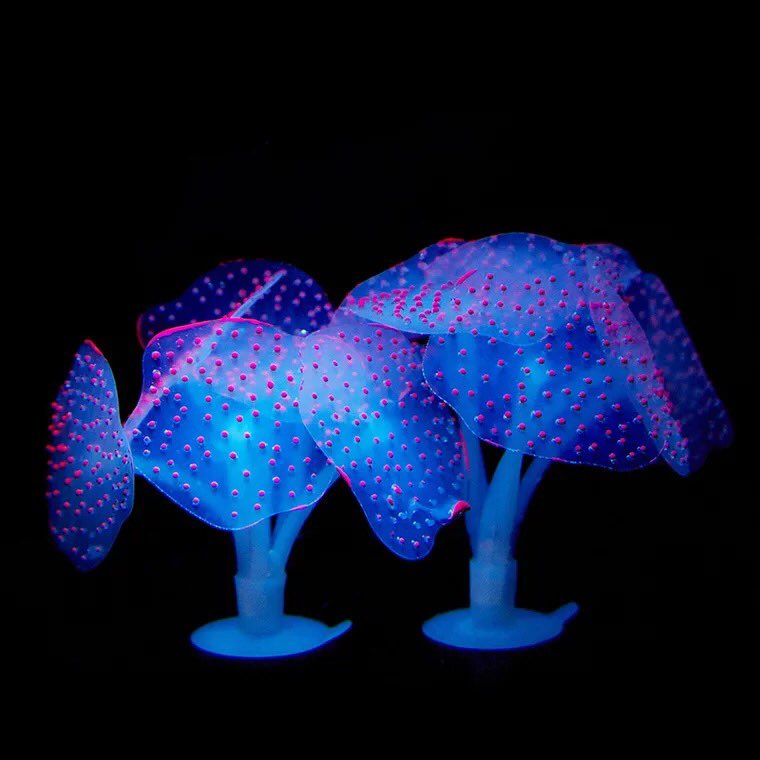 DirectTackle's tweet image. Any idea for fish water tank decorations ?