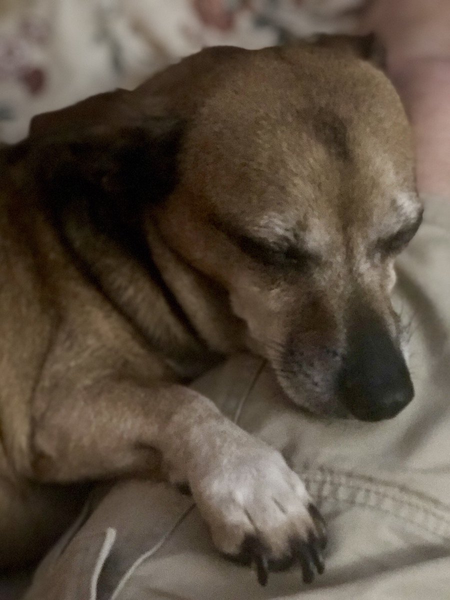 Daddim0's tweet photo. 😍❤️💕💖 https://t.co/QXA38W5M3g