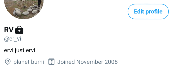 RV tweet media