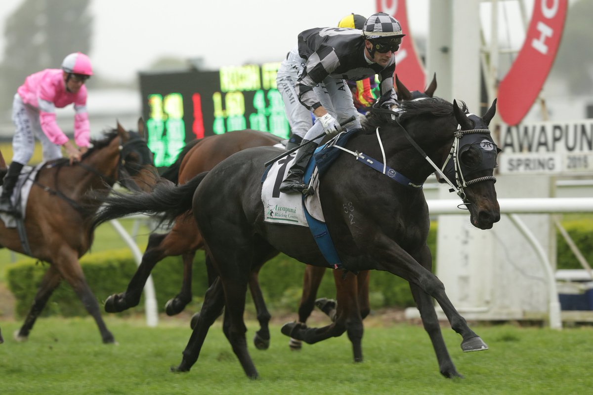 nzracingnews's tweet photo. NEWS: @lisalattaracing ultra-consistent galloper #FiveToMidnight scored his 8th career win in Saturday's Listed Feilding Gold Cup @AwapuniRacing for owners @KamadaPark https://t.co/FiSiTzhr2K https://t.co/hoT8Dv4mUB