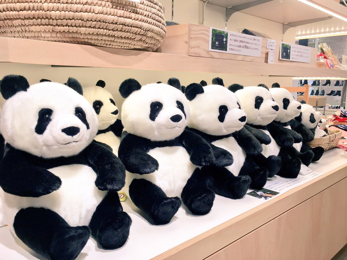ででーん！#シャンシャン のぬいぐるみが並んでおります。もっちり、約