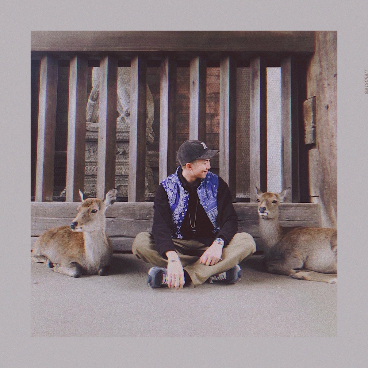 BTSorbit's tweet photo. 🦌😙🦌 @BTS_twt https://t.co/rXaHee9c0q