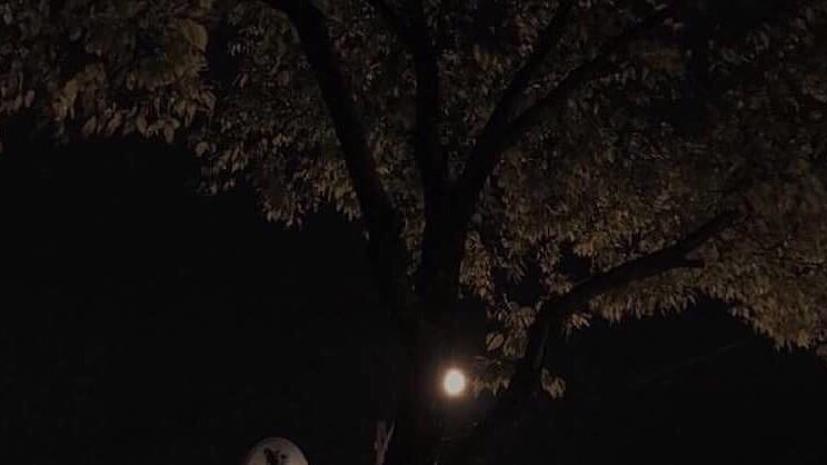 j_00_2's tweet image. チング探し〜👀

💣02line(高二)⚽️

💣ナムジャ🚹

💣ジミンペン🐤

💣深絡みダル絡み歓迎🙌

💣京セラ21進撃🔜

#ARMYさんスルー禁止 #armyさんRTしてくれたらフォローする #ARMYと繋がりたい #BTS #armyRTいいねしてくれた人全員フォロー