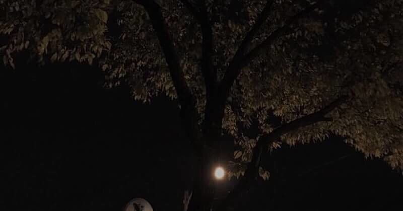 j_00_2's tweet image. チング探し〜👀

💣02line(高二)⚽️

💣ナムジャ🚹

💣ジミンペン🐤

💣深絡みダル絡み歓迎🙌

💣京セラ21進撃🔜

#ARMYさんスルー禁止 #armyさんRTしてくれたらフォローする #ARMYと繋がりたい #BTS #armyRTいいねしてくれた人全員フォロー