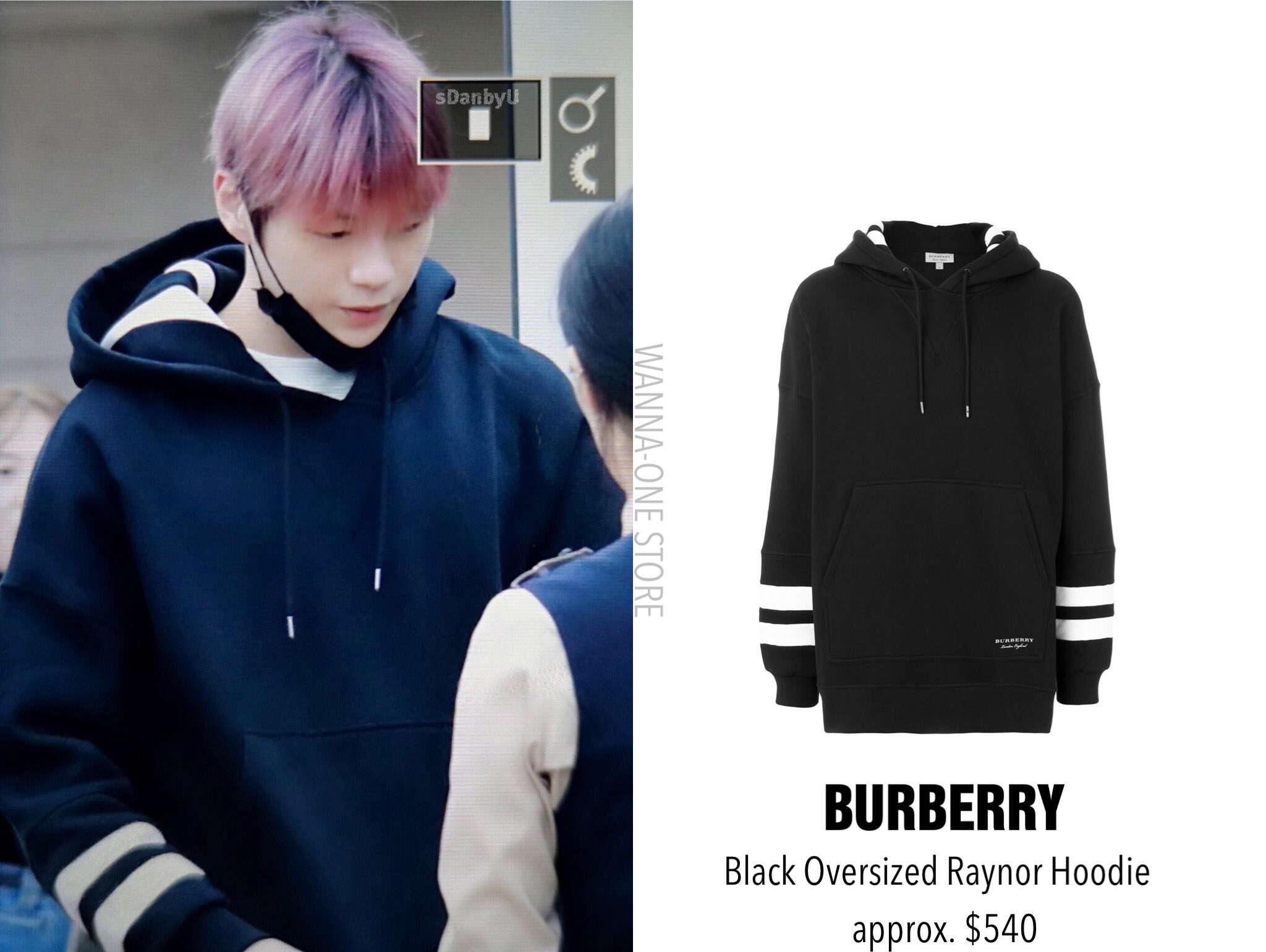 Burberry clearance raynor hoodie