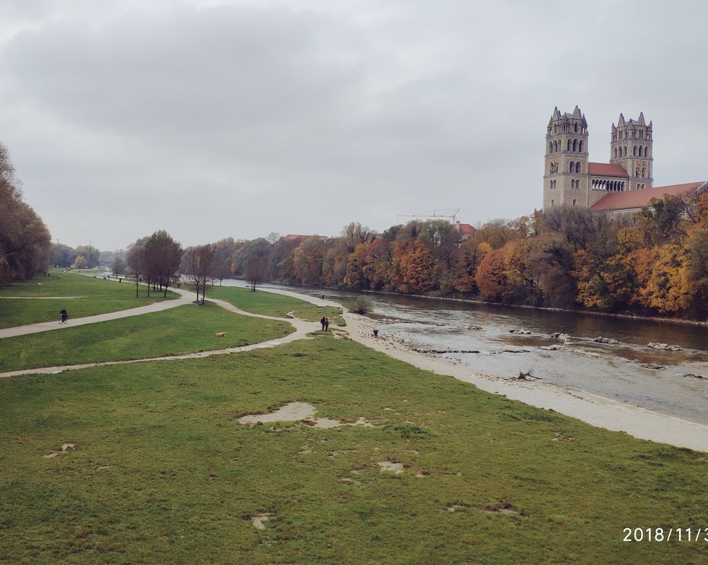 Doggosphere's tweet image. Isar, Munich. Doggo paradise