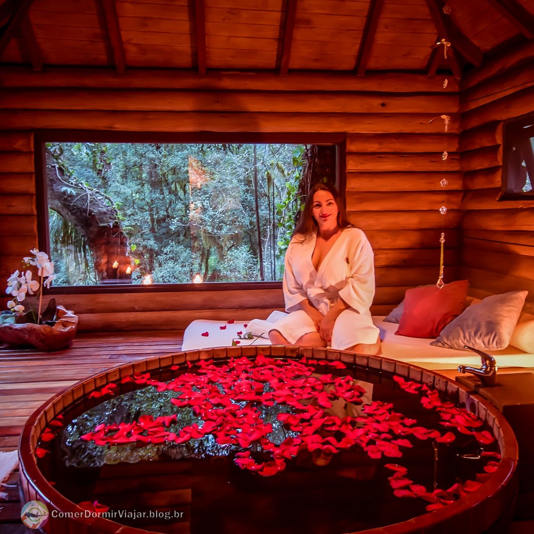 Comer Dormir Viajar tweet media