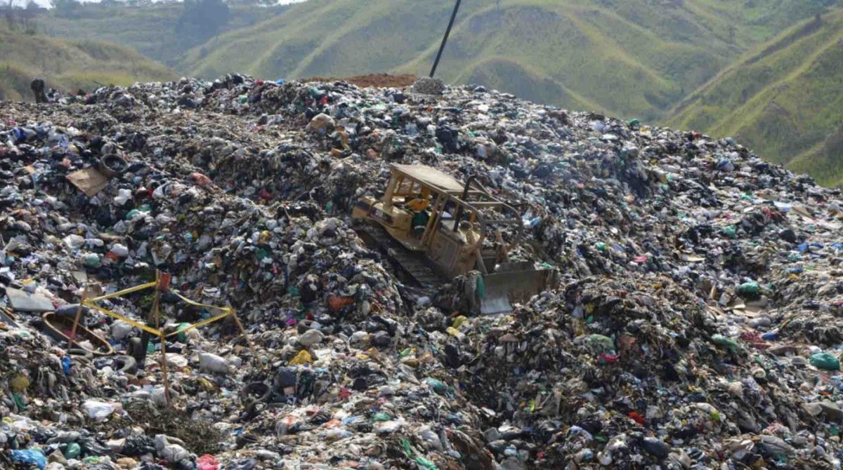 Stop call this extinction.  This is the worst ecocide ever..