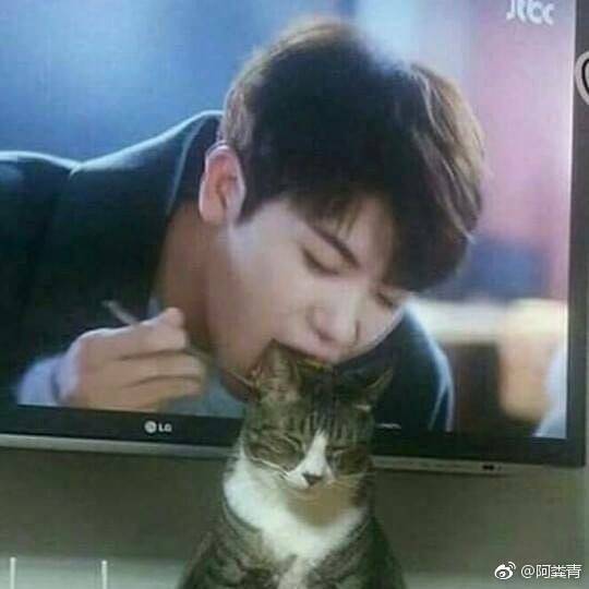 llwnFCC's tweet photo. น้องงงงงง 5555555555 https://t.co/62V3ckSXbc