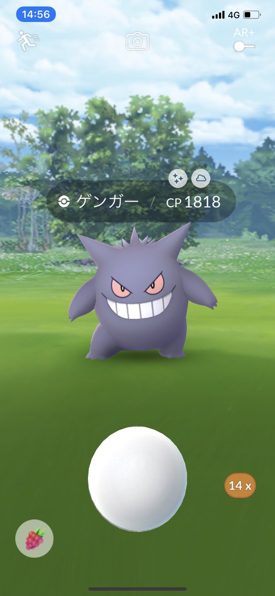 ゲンガー色違い hashtag on twitter