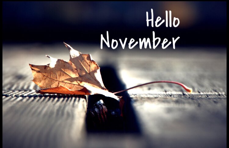 PyneDesignUK's tweet photo. Hello out there!! We’ve had such a busy year promoting and marketing our clients we’ve not had a chance to stop by #Twitter and say hi! So what’s been happening around here? https://t.co/m9X3YEVfZ3