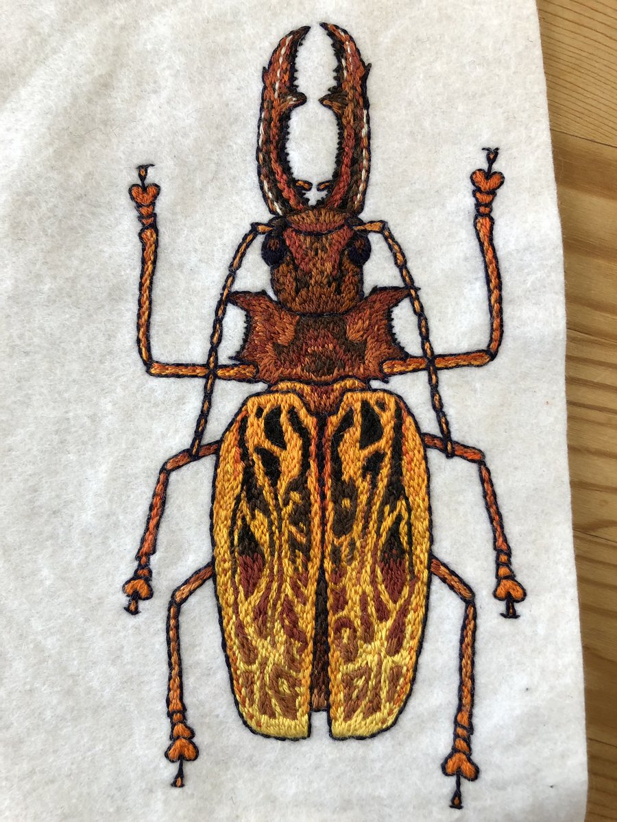 ちくちくサウルス Embroidery そういえば 完成したものをアップし忘れてました オオキバウスバカミキリできました 今まで縫った作品の中でも一番大きいのではないかなぁ 複雑な模様がかっこいい昆虫です Embroidery 刺繍 虫縫い オオキバウスバ