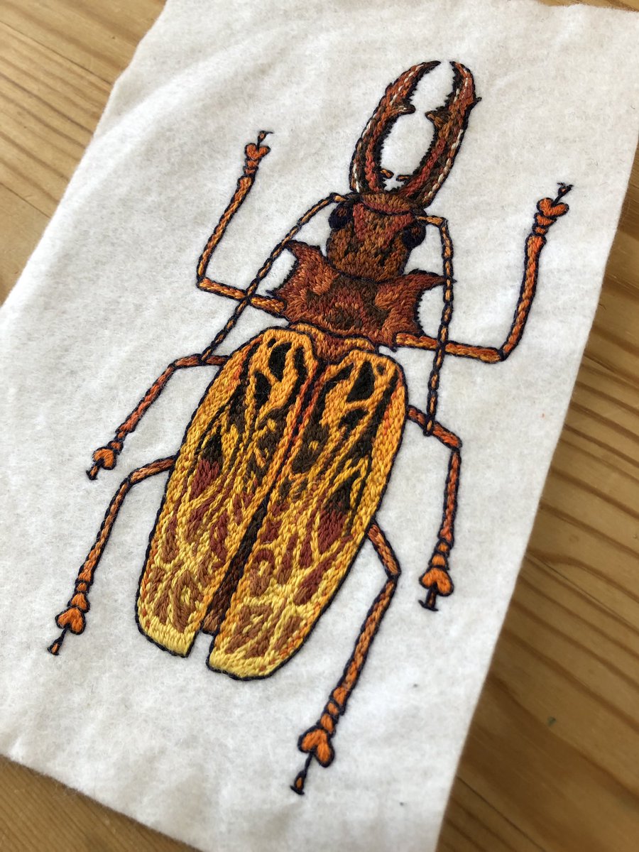 ちくちくサウルス Embroidery Auf Twitter そういえば 完成したものをアップし忘れてました オオキバウスバカミキリできました 今まで縫った作品の中でも一番大きいのではないかなぁ 複雑な模様がかっこいい昆虫です Embroidery 刺繍 虫縫い オオキバ