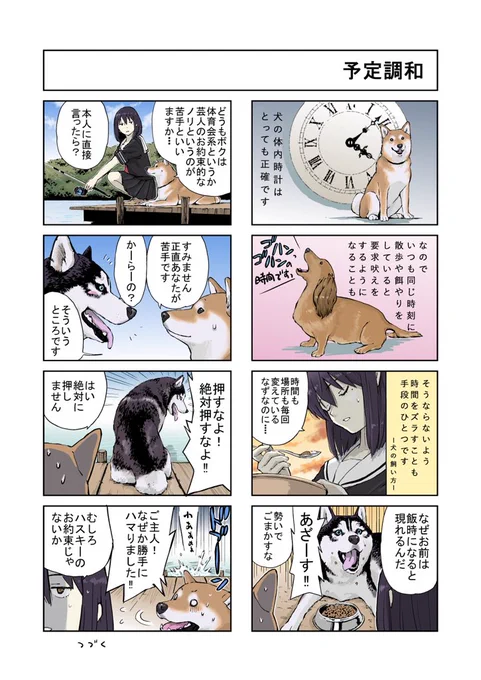 #世界の終わりに柴犬と #柴犬 #4コマ漫画
世界の終わりに柴犬と 旅する話 95 