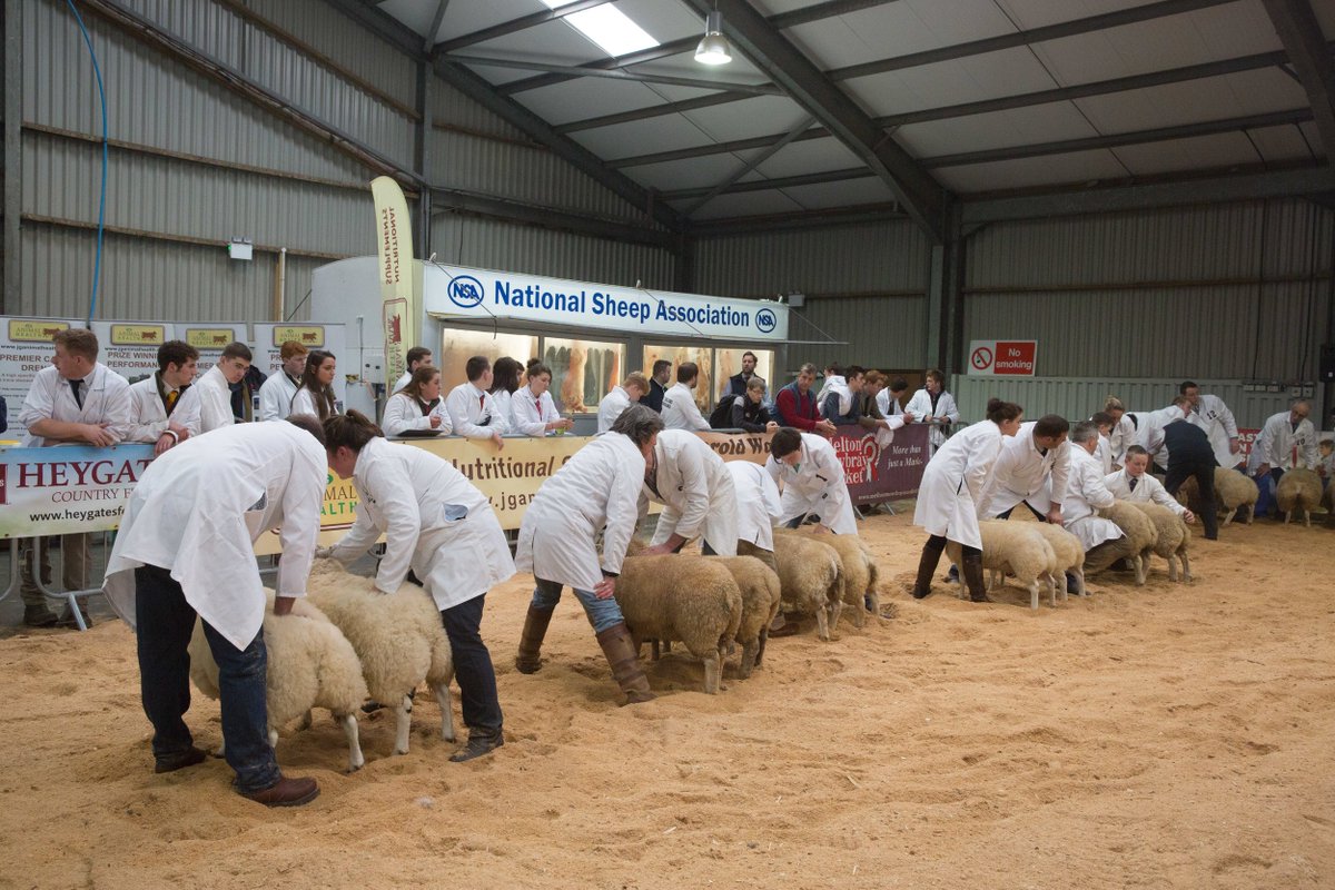 winterstockfest's tweet photo. We would like to thank Barnard Castle Auction Mart for kindly sponsoring the mule gimmer lambs taking place on the Saturday of the show, thank you for your continued support. https://t.co/IrF0ta4GHp #WSF18 #Sponsorshoutout #lambs https://t.co/ojl6C6J7yC